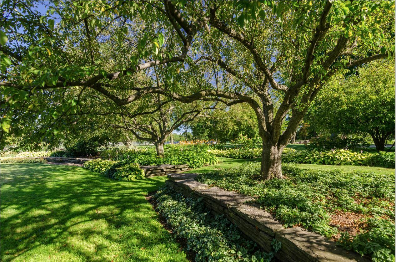 Jackson Park Woman’s Garden after the tree cut for the Obama Presidential Center on September 6, 2021. Photo credit: Protect Our Parks